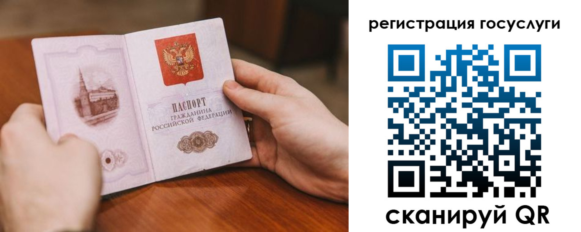 прописка поиск в Райчихинске